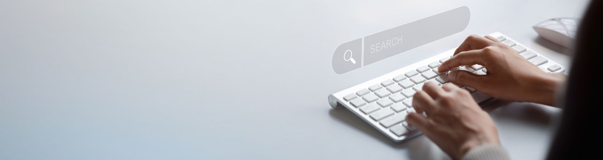 SEO Optimization for SMEs in Palma
